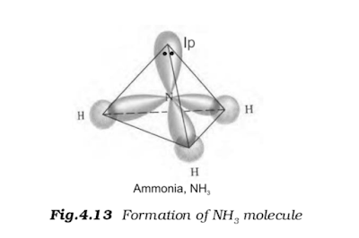 The structure of NH3 and H2O molecules