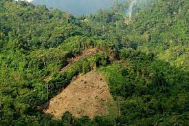 Kegiatan Penatagunaan Kawasan Hutan Kegiatan Penatagunaan Kawasan Hutan