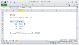 صيغ الدالة TRUE واستخدامها في برنامج Microsoft Excel