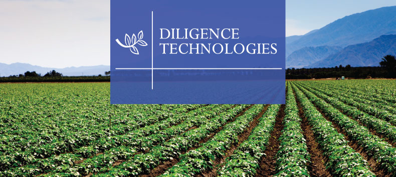 Diligence Technologies Inc.