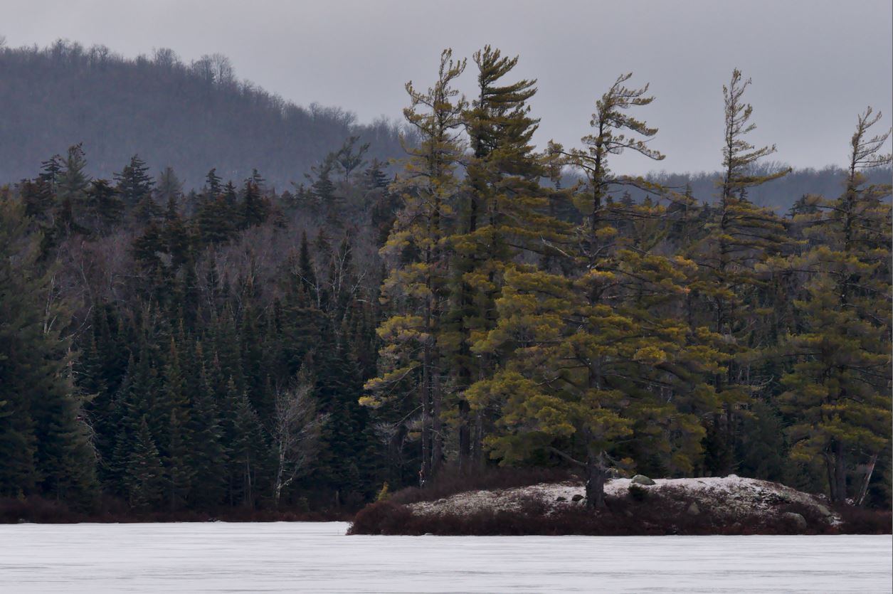Adirondack Hiking Bridge Brook Pond An Easy Walk in the Horseshoe