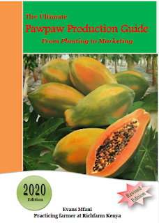 pawpaw farming guide in kenya pdf