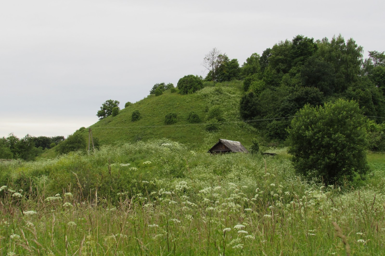 рок хилл гора. сторона холма. форма рельефа холм. изображение неровностей земной поверхности на плане. абсолютная высота холмов на топографической карте.