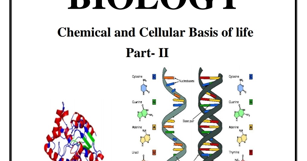 BIOLOGY_Chemical & Cellular Basis of Life Unit 02 Part 02 By BM
