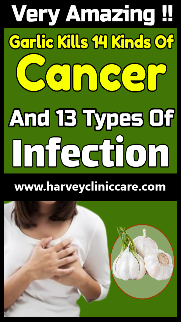 Garlic Can Kills Easily 14 Cancer Types And 13 Types Of Infection