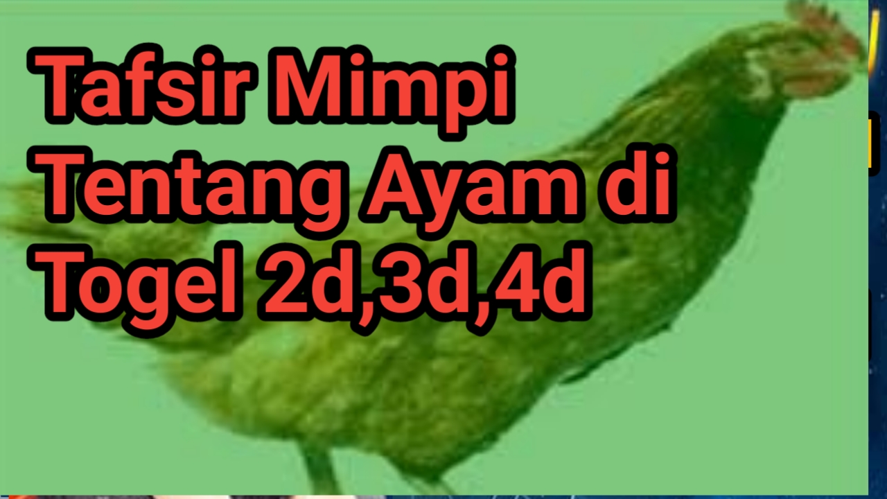 14+ Mimpi Ternak Ayam Togel