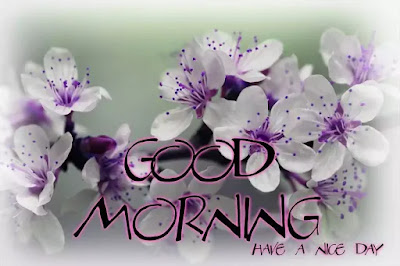 Good Morning Images Good Morning Images