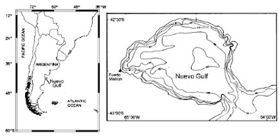 Το περιστατικό του Κόλπου Νουέβο  