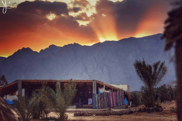 أسعار المحمية