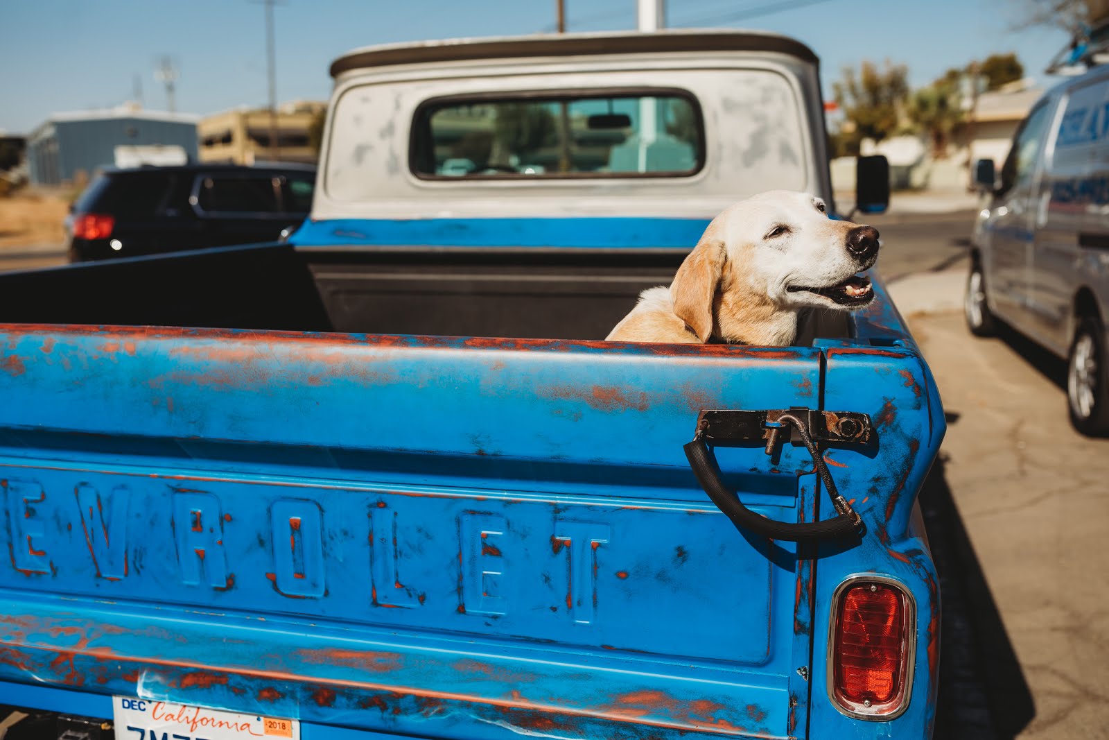 Johnstone Supply, South Texas Brand Development