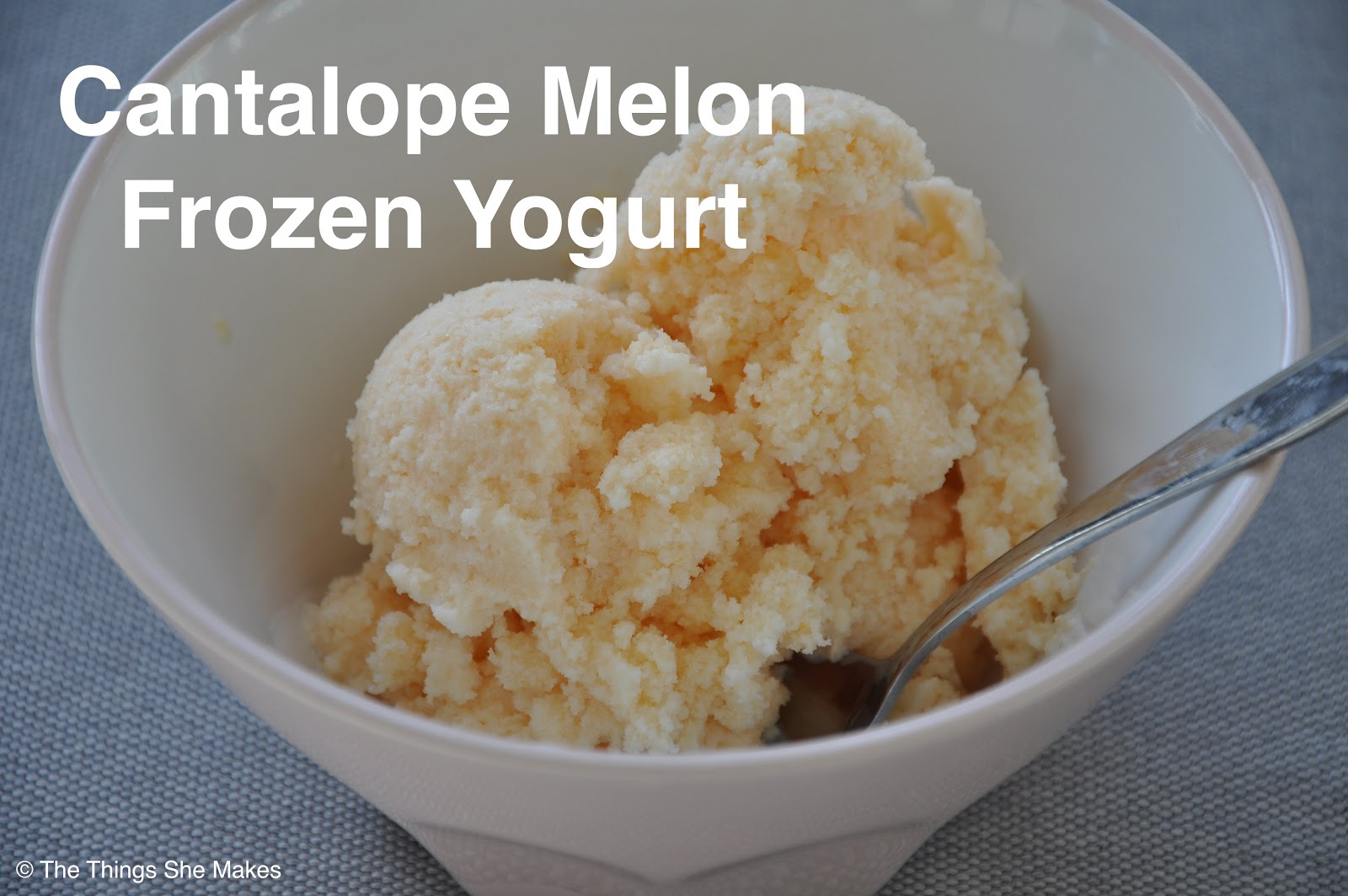 Cantaloupe Melon Frozen Yogurt The Things She Makes