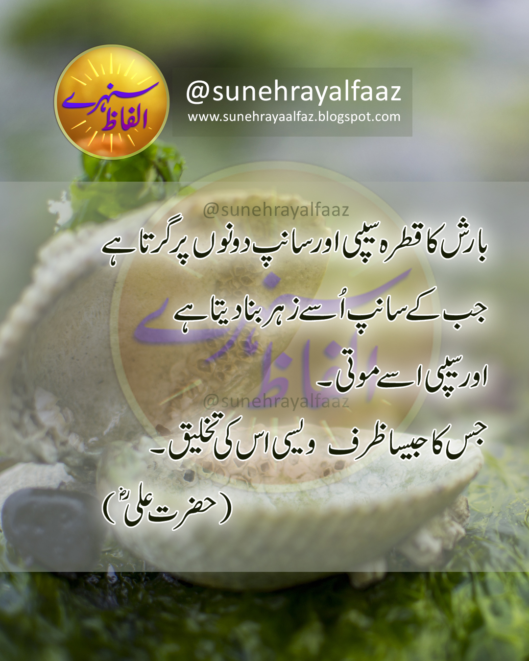 Agar Kisi Ka Zarf Azmana Ho ll Hazrat Ali Quotes in Urdu 4