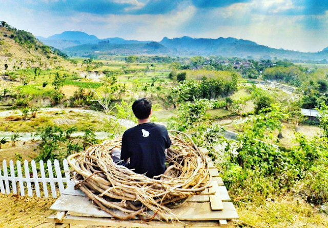 laborblog.my.id - Bukit Tono menyajikan spot foto yang mempesona dengan lingkungan yang cukup asri.