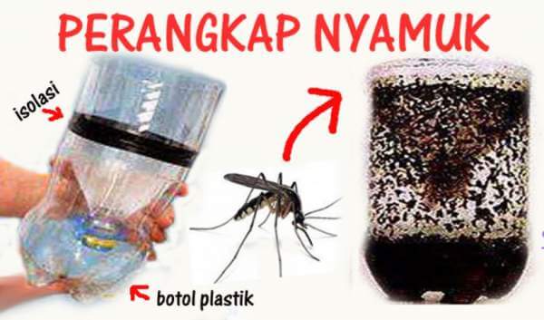 Cara Membuat Perangkap Alat Pengusir Nyamuk Dari Barang Bekas