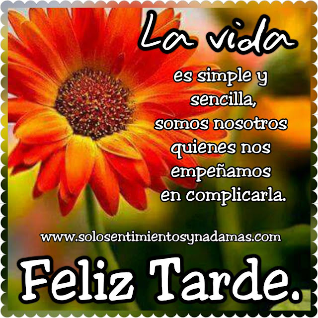 Feliz tarde.