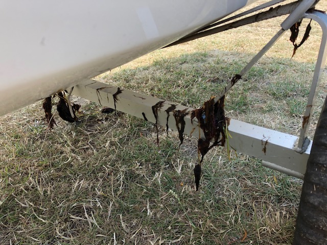 Klub Am Rupenhorn Idjum Der Teenys 25 28 7 19 Travemunder Woche