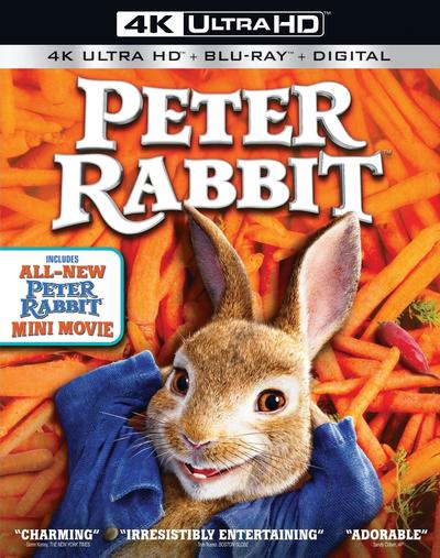 Peter Rabbit (2018) 2160p HDR BDRip Dual Latino-Inglés [Subt. Esp] (Animación. Comedia)