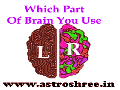 Which Part of Brain Do You Use?