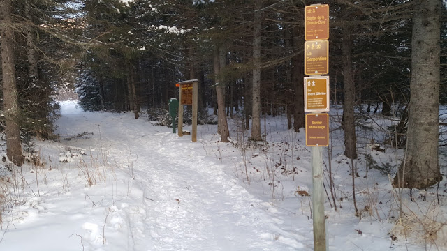 Point de départ pour le mont Olivine
