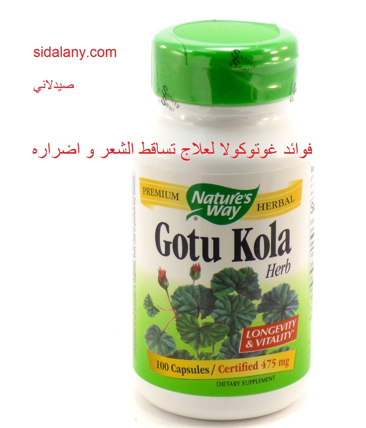 إضافي فأر أو فأر متورط فوائد عشبة الارض للشعر dsvdedommel com