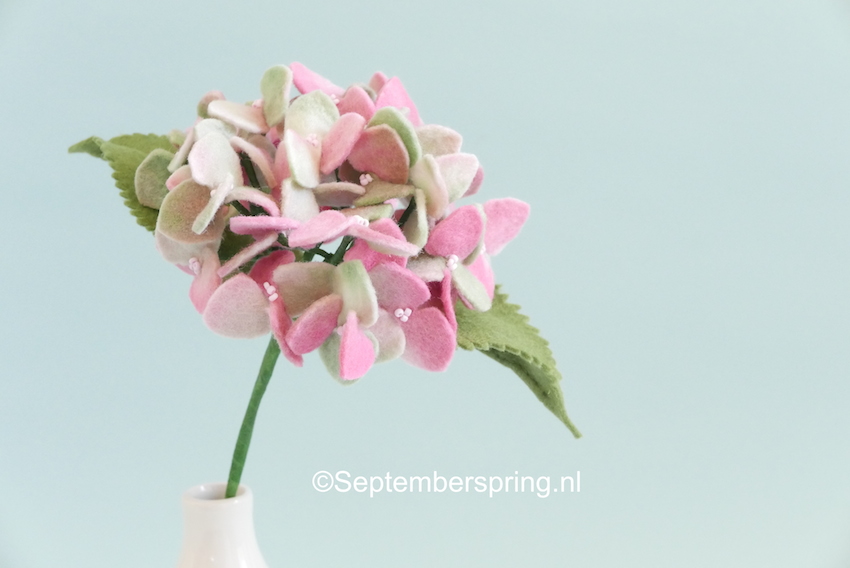 Septemberspring Galerie