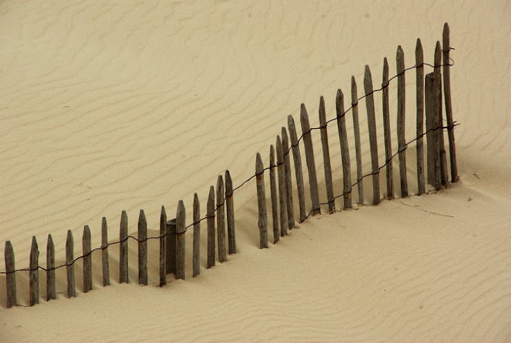 les vagues de dunes