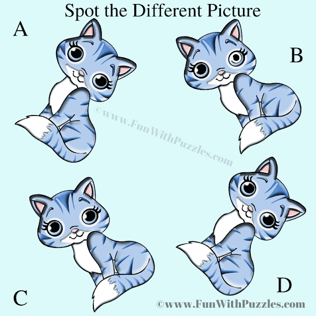 Fun Cat Puzzle for Whatsapp: Can You Find the Odd One Out?