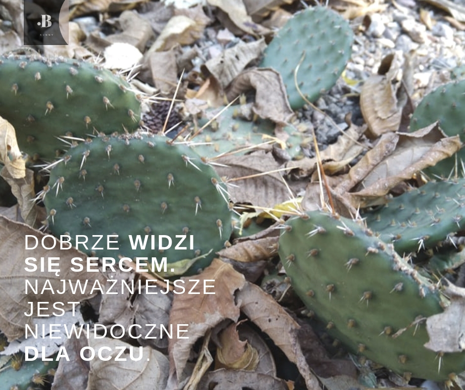 Jak wygląda wiatr - Autumn's monologue.