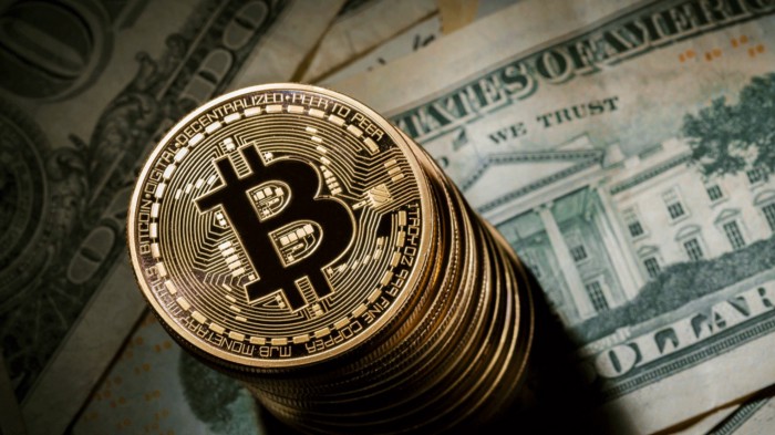 Bitcoin Profi Erfahrungen & Test 2021 – unkompliziert zu Bitcoin Gewinnen