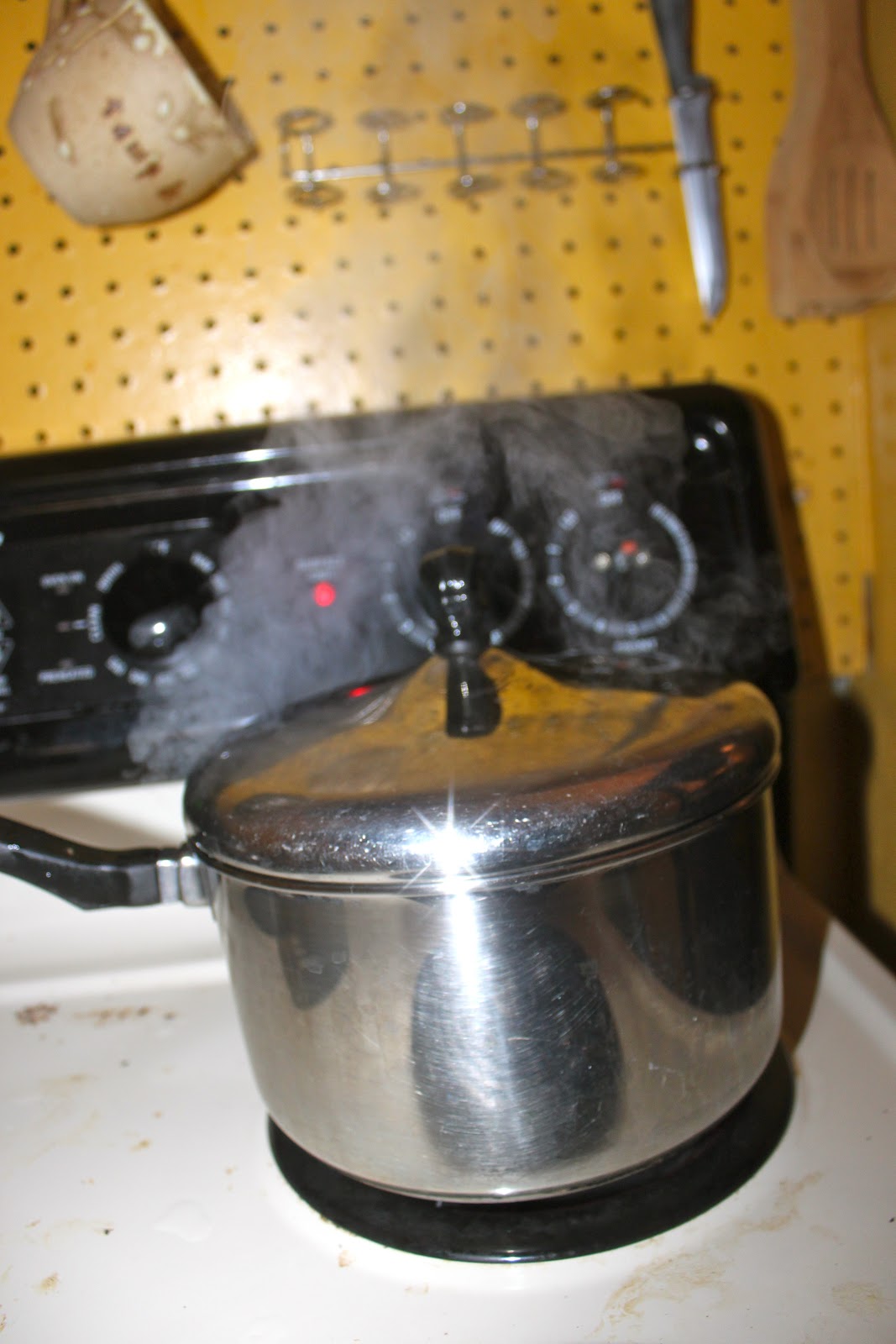 Homemade Air Fresheners