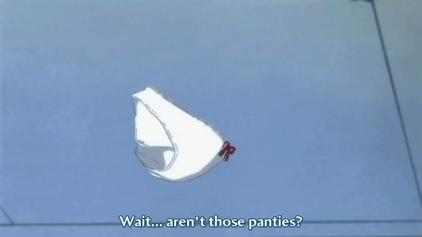 Flying_Panties.gif