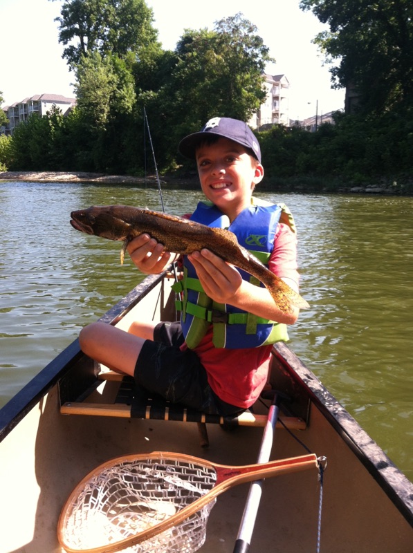 Canoeing In Ohio Little Miami River July 2015