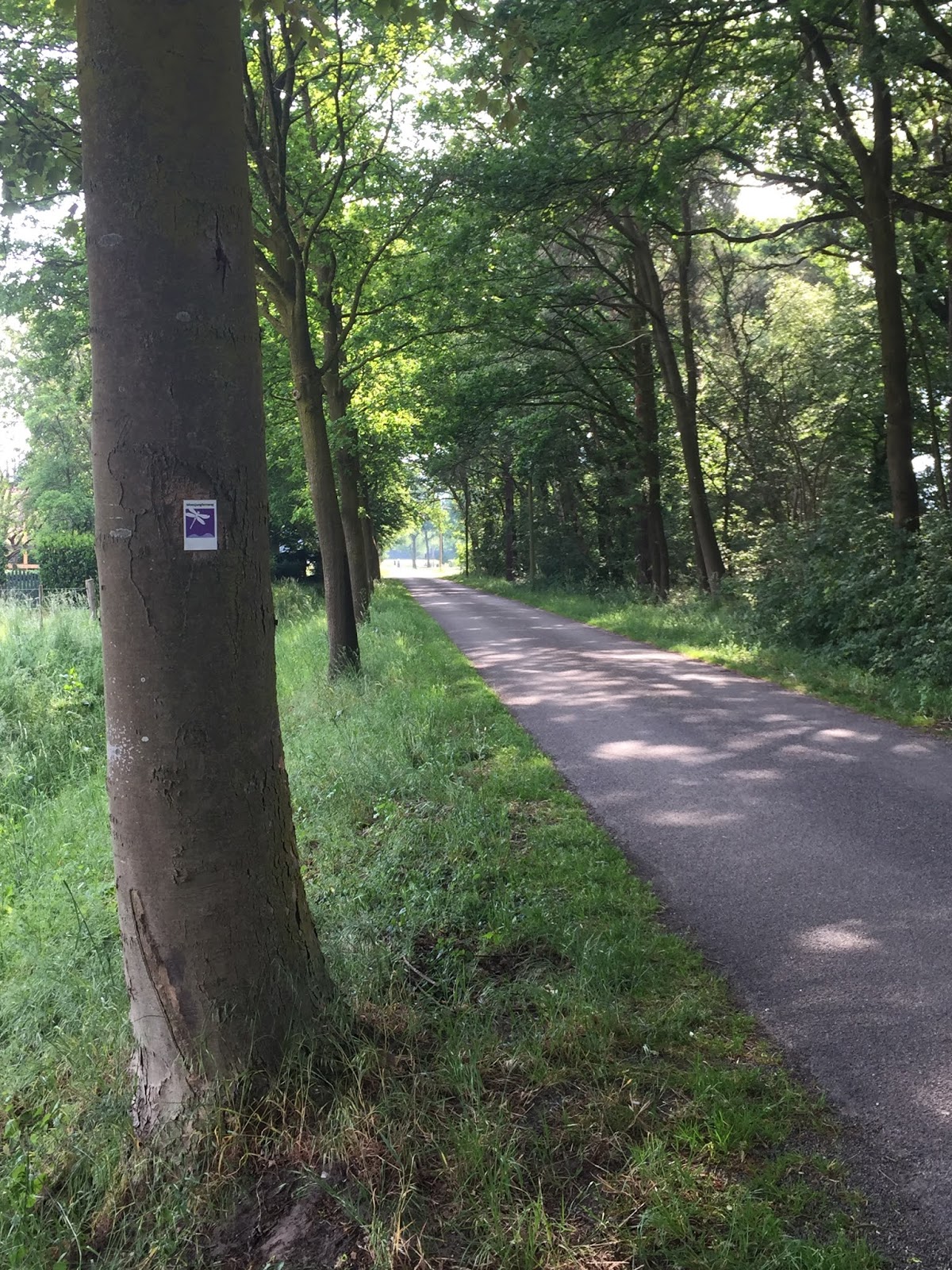 Himmel Gemalt - Himmel Wolken malen, mit Acryl, Lasurtechnik, Tutorial