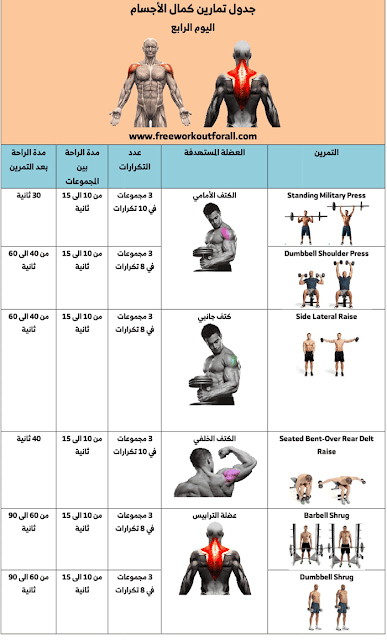 جدول تمارين كمال الاجسام