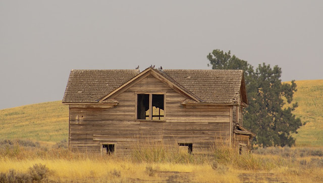 قصة قصيرة فيها شخصيات ومكان وزمان