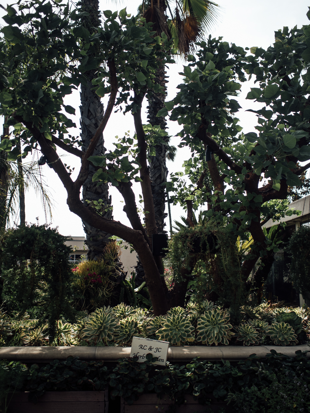 Happy Place - Poolside at the Four Seasons Beverly Hills