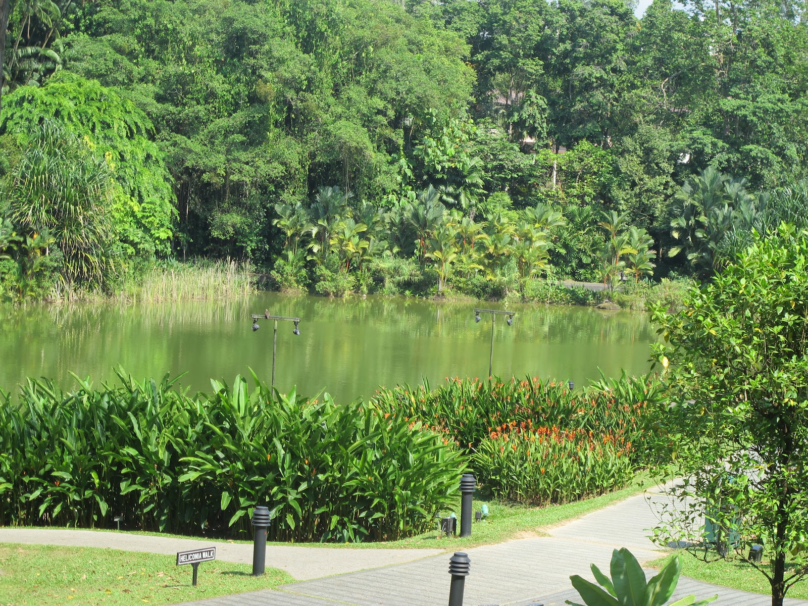 rainforest tour singapore botanic gardens