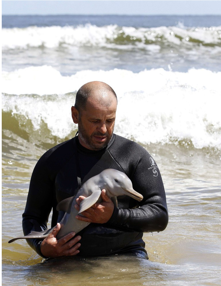 A man taking care of an orphaned baby dolphin (pictures