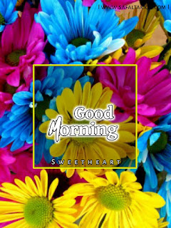 good morning flowers photo images