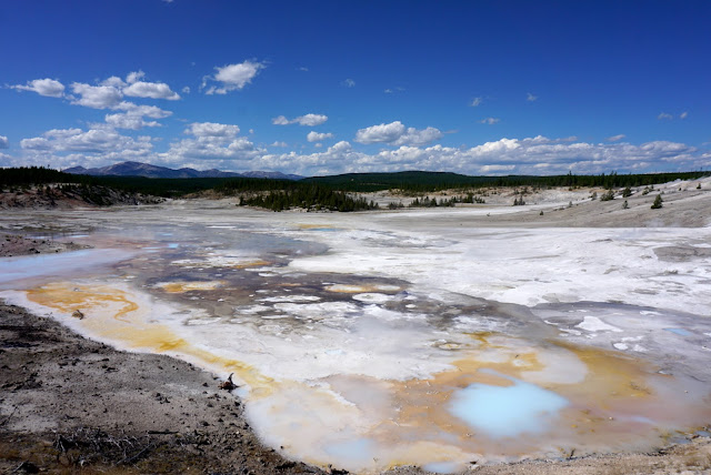 Porcelain Springs, Norris Geyser Basin porcelain springs norris geyser basin