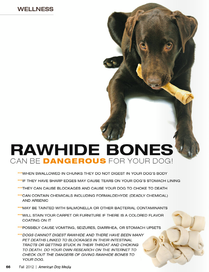 Canadian Doodle Puppies Why you should NOT give your dog rawhide...