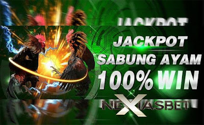Ayam Bangkok Petarung Apk Terbaik S128 Online - Nexiasbet88.net Ayam Bangkok Petarung