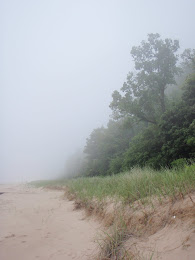 Foggy Lake Michigan Shoreline