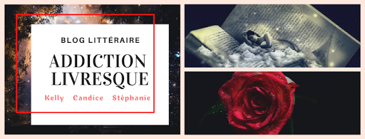 Addiction Livresque