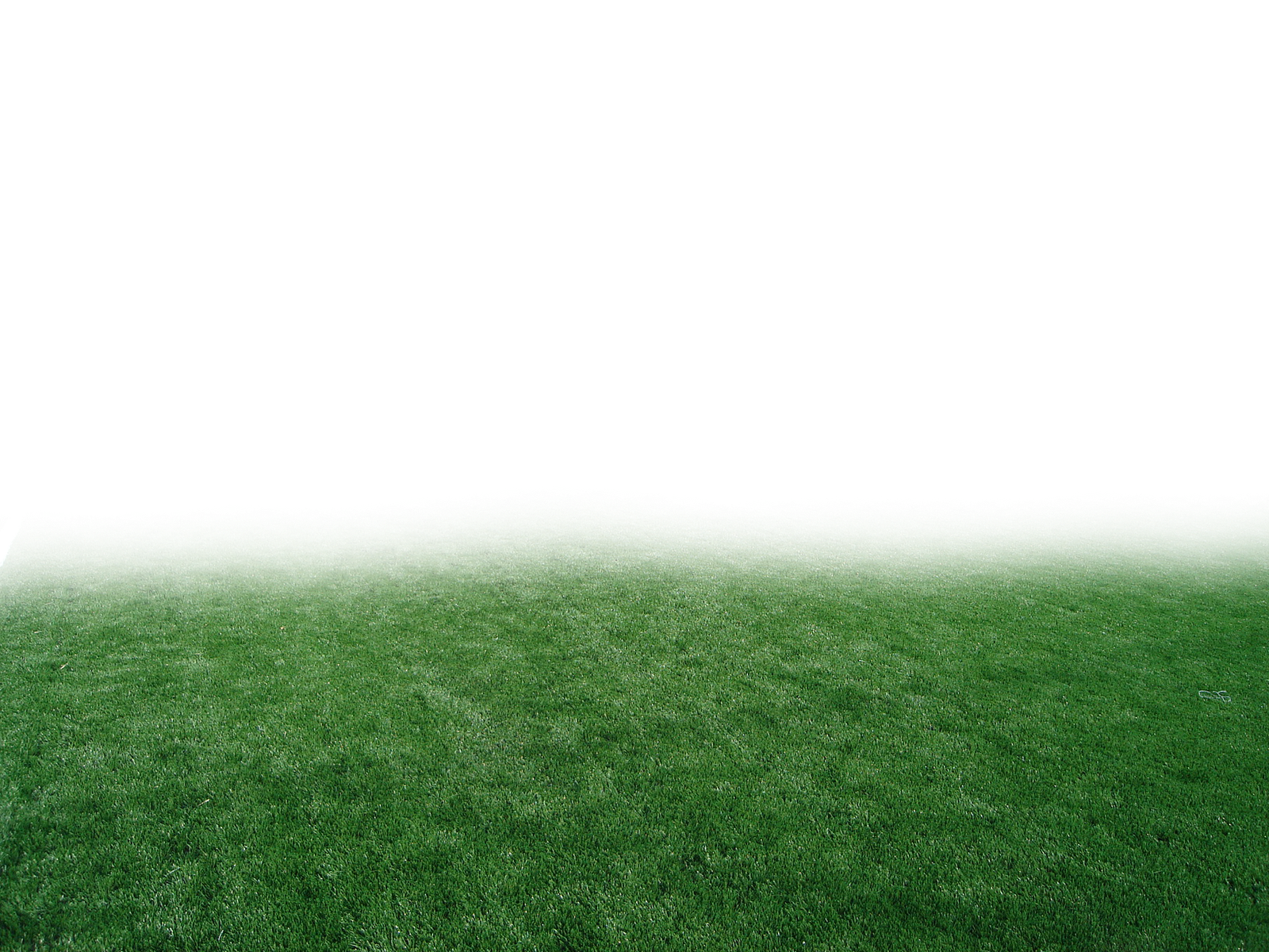 Pasto Png Para Photoshop