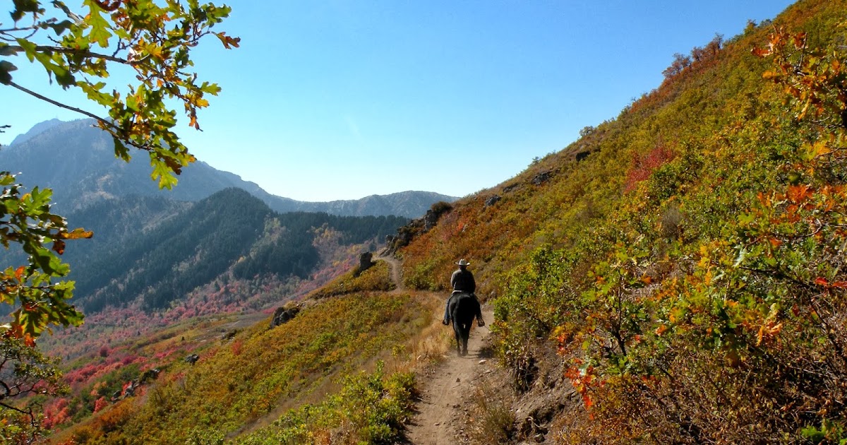 Dream Packer Trail Adventures Snow Basin, Utah, Sardine PeakOverlook