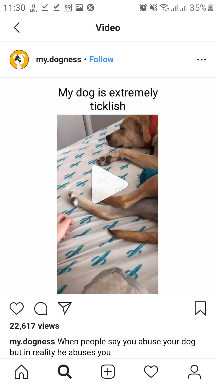 download instagram videos mobile download instagram videos mobile