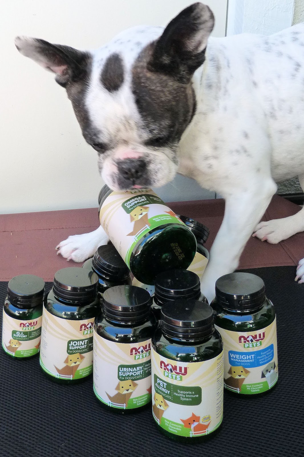 Two French Bulldogs NOW Pets Supplements NOWpetsSweep Ad