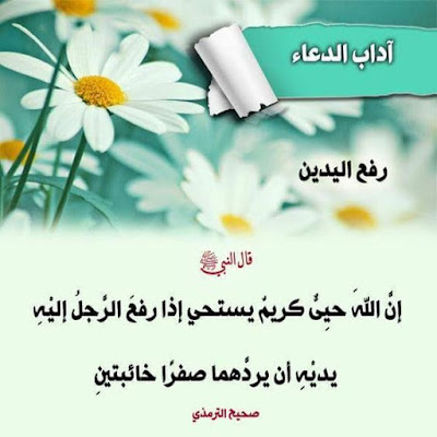 صور جميلة