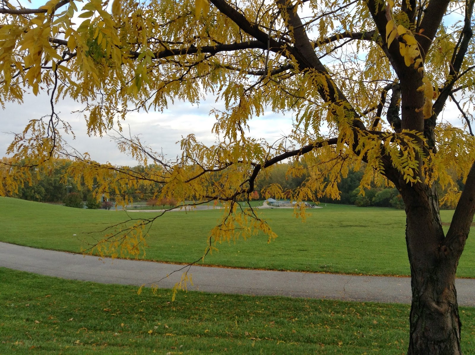 Highland Heights Neighborhood Association